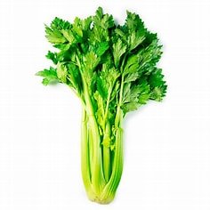 APIO ESPAÑA APIO ESPAÑA