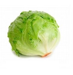 LECHUGA 2 LECHUGA CRIOLLA