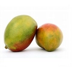 MANGO 2 MANGO