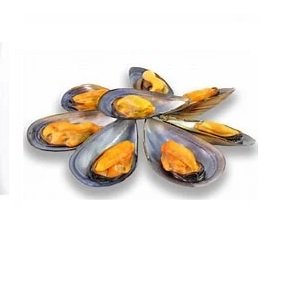 MEJILLONES CON CONCHA