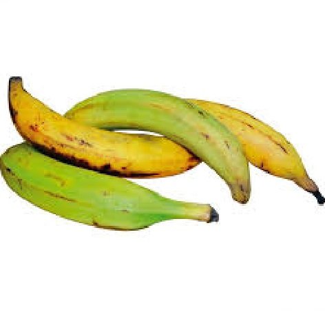 PLATANO PLATANO