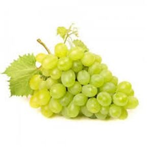 UVAS2 UVAS
