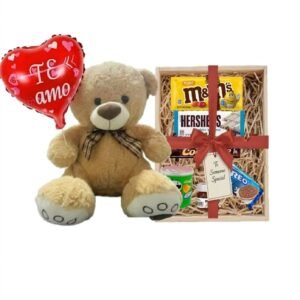 REGALO  #2 CON PELUCHE DE OSO